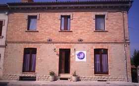 Le Viole B&B